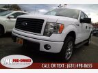 Thumbnail Photo 25 for 2014 Ford F150